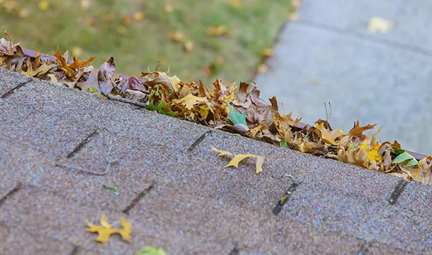 Gutter Cleaning