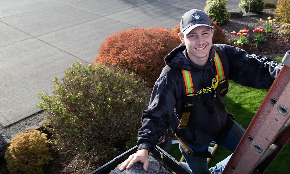 Gutter Cleaning