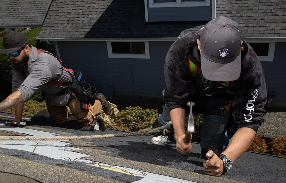 Roof Repair