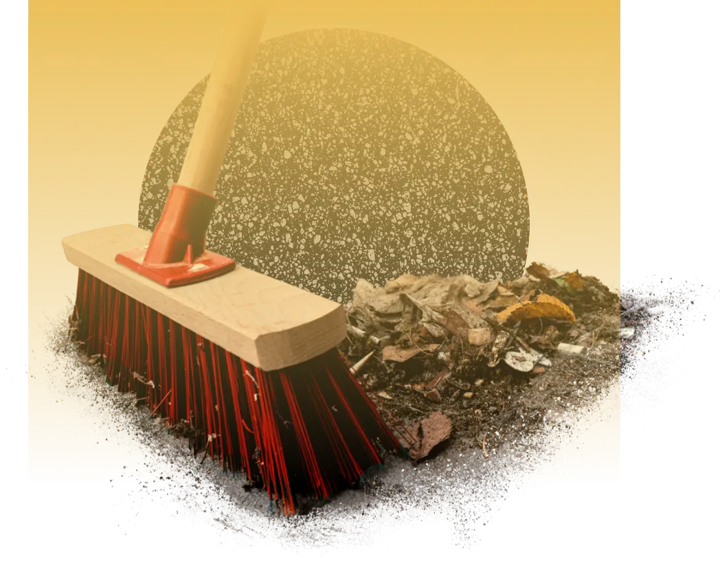 Trusted Roof Cleaning & Moss Removal in Chehalis, WA