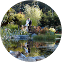 tom hollomon profile picture