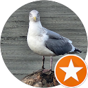 Dayle Beck profile picture