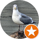 Dayle Beck profile picture