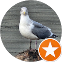Dayle Beck profile picture